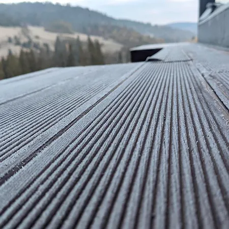 Laska House * Pylypets