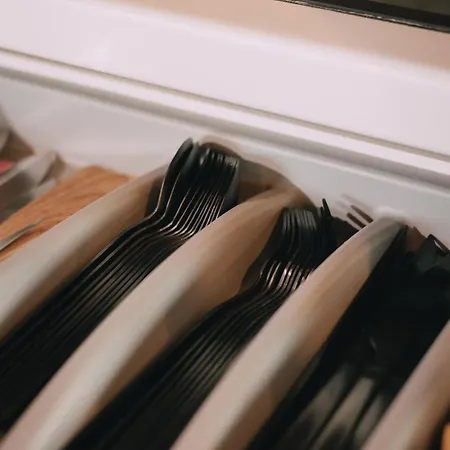 Laska House Pylypets