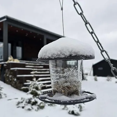 Laska House Pylypets