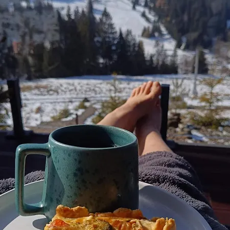 Laska House Pylypets