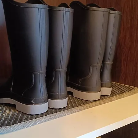 Villa Laska House Pylypets